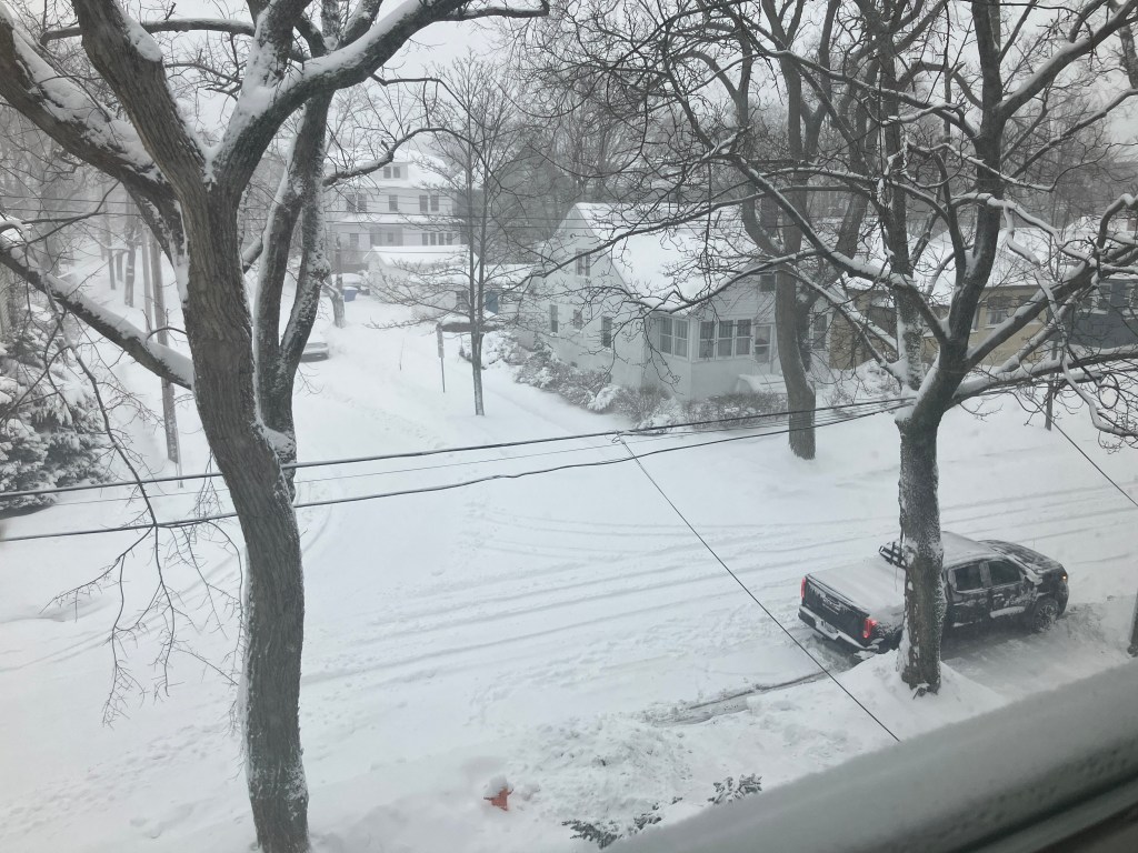 This image has an empty alt attribute; its file name is img_7772-1.jpeg