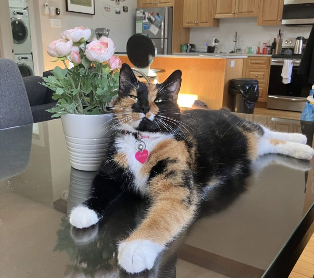 A Week in the&nbsp;Life